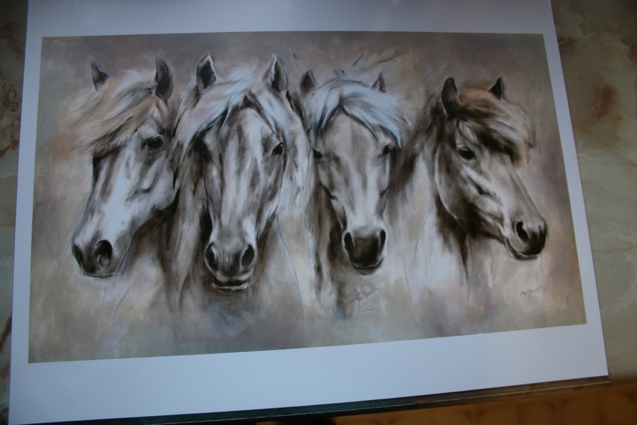 1280x854 fine art friendship four icelandic horse heads tolt away - Icelandic Horse Drawing