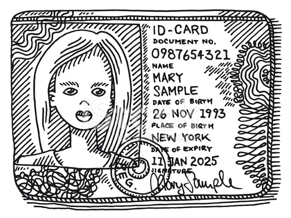 586x440 generic id card woman portrait drawing stock vector - Id Drawing