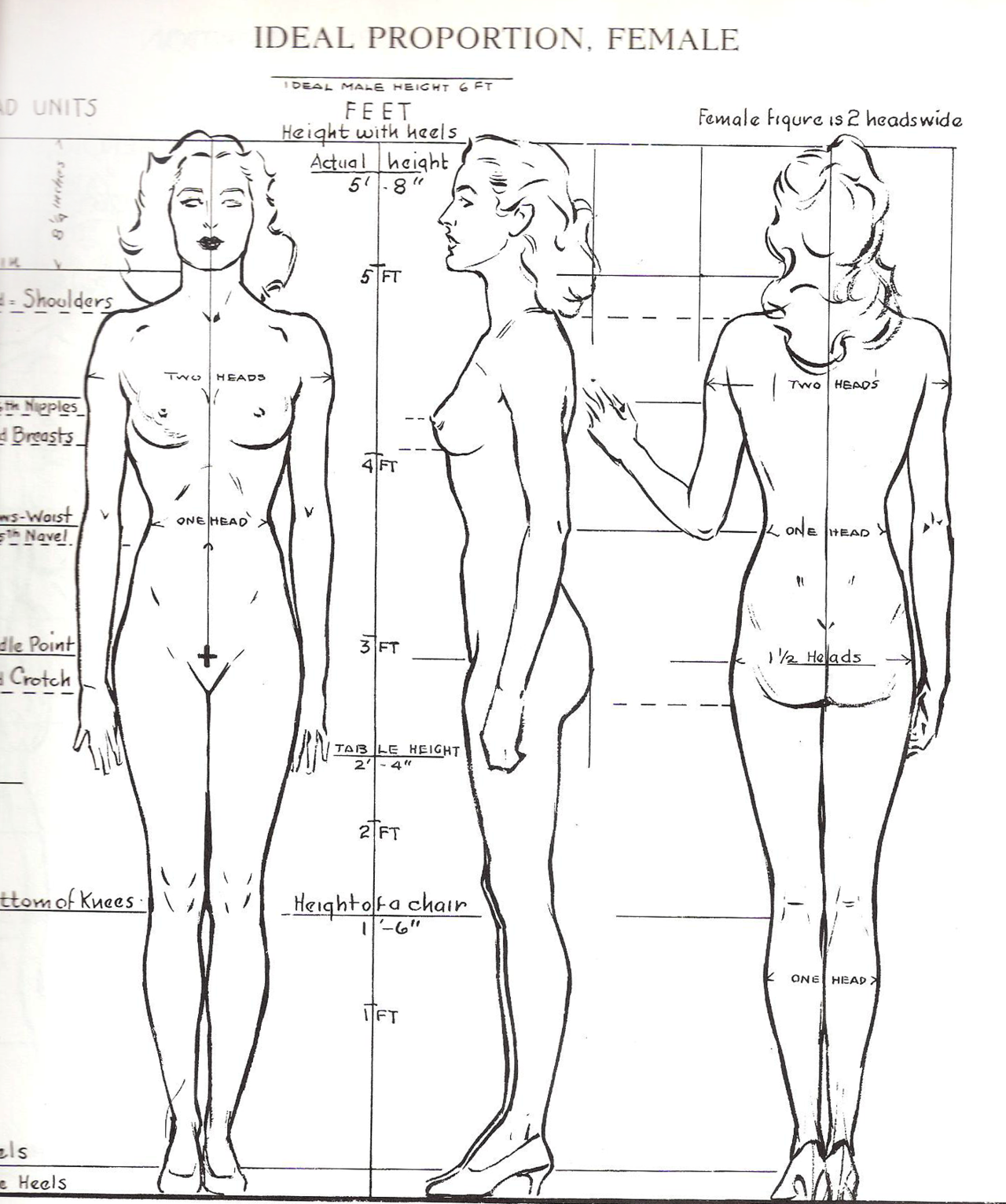 1280x1532 Ideal Proportions From Figure Drawing For All It's Worth - Ideal Drawing