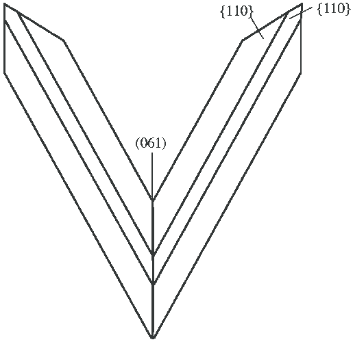 515x500 Left Ideal Drawing Of A V Twin Of Diaspore The Contact Plane - Ideal Drawing