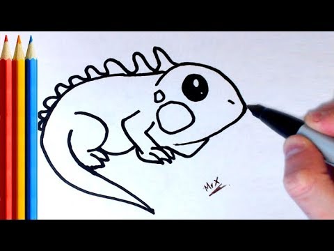 480x360 how to draw lizard iguana - Iguana Cartoon Drawing