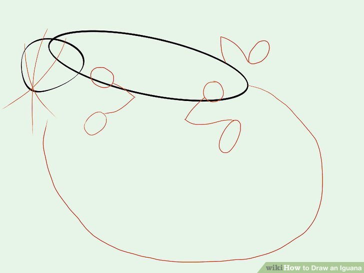 728x546 how to draw an iguana - Iguana Cartoon Drawing