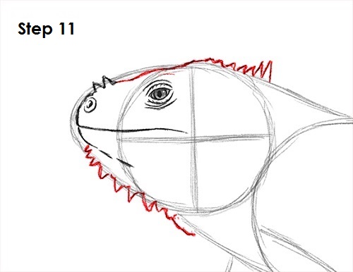 500x386 how to draw an iguana - Iguana Cartoon Drawing