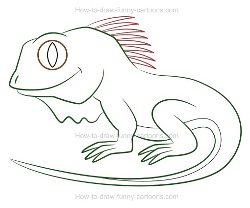 510x423 how to draw a cartoon iguana - Iguana Cartoon Drawing