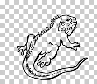 310x270 cartoon lizard png cliparts for free download uihere - Iguana Cartoon Drawing