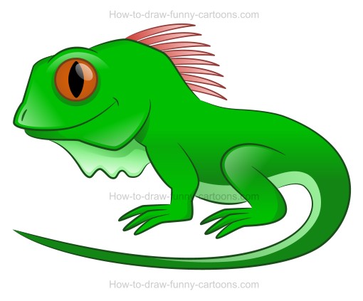 510x423 how to draw a cartoon iguana - Iguana Drawing