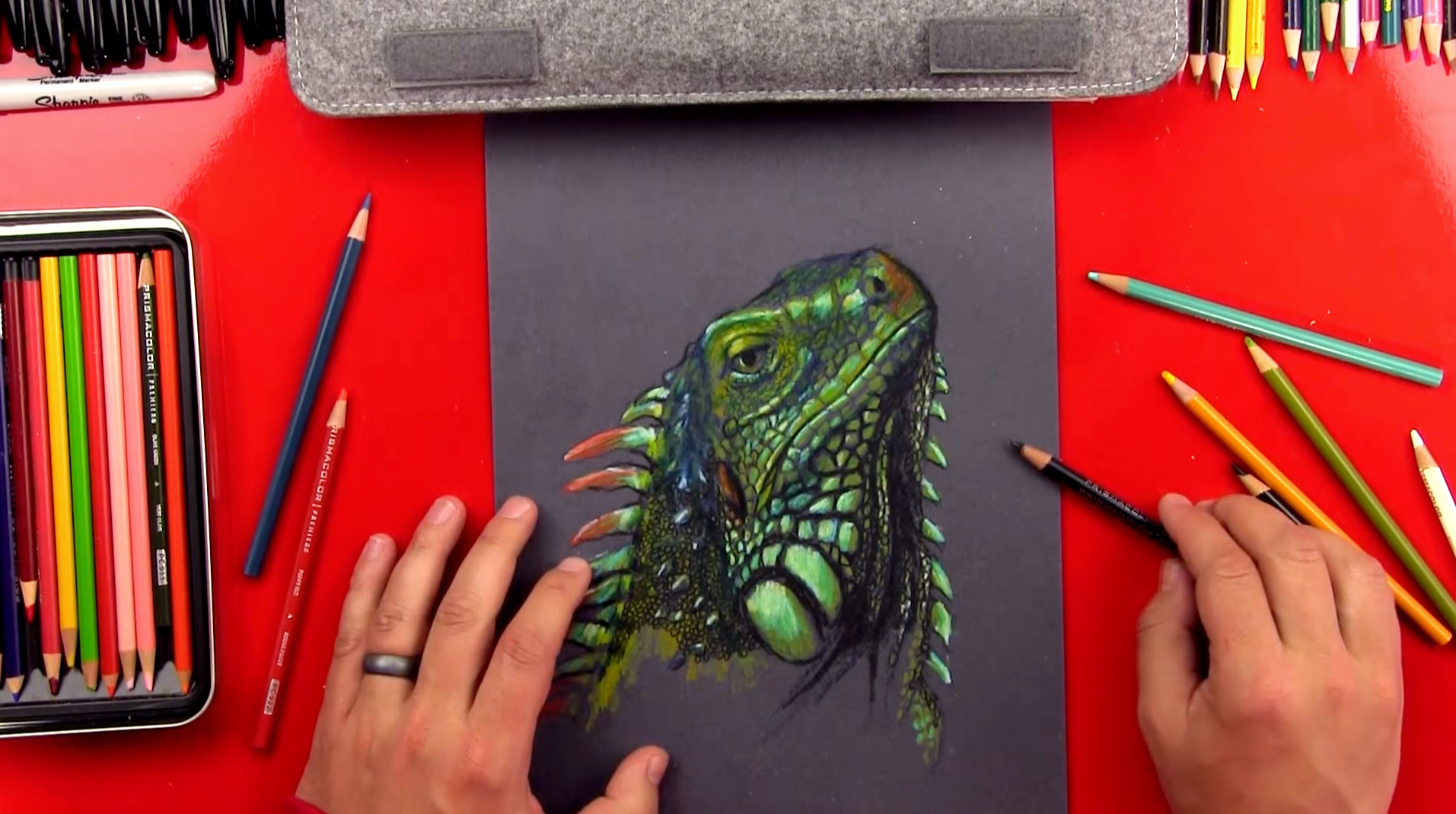 1913x1069 iguana drawing - Iguana Drawing