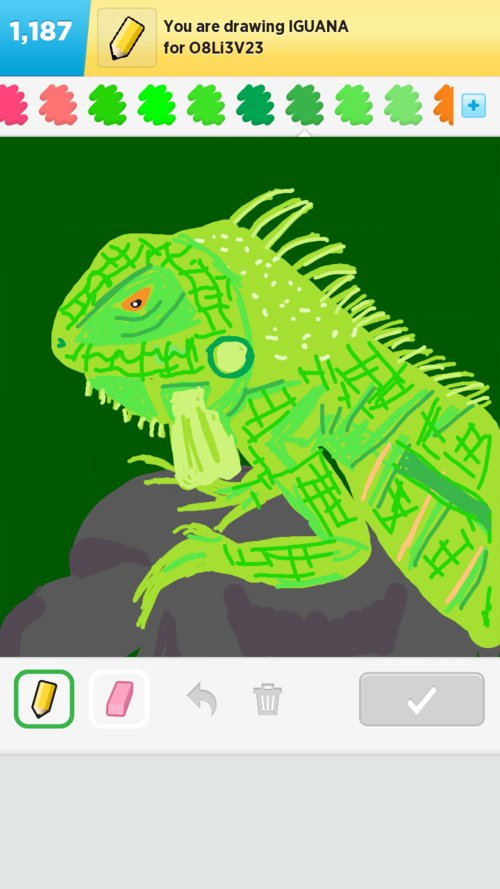 500x889 iguana drawings - Iguana Drawing