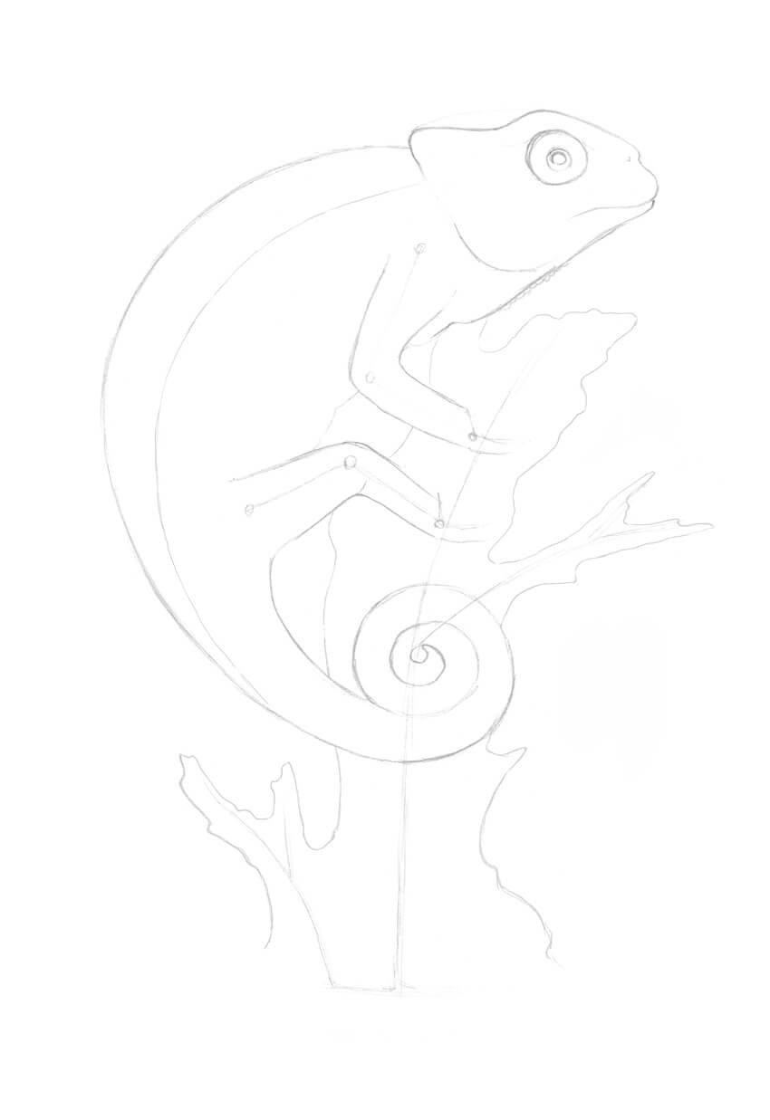 850x1237 How To Draw A Lizard With Ink Liners - Iguana Drawing Outline