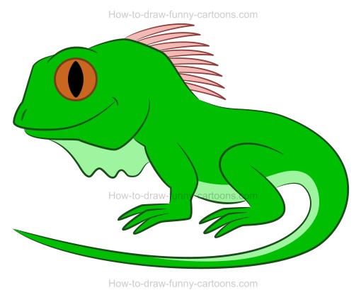 510x423 how to draw a cartoon iguana - Iguana Drawing Outline