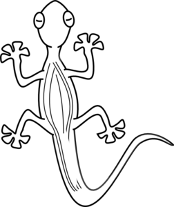 252x300 iguana black and white transparent png clipart free download - Iguana Drawing Outline