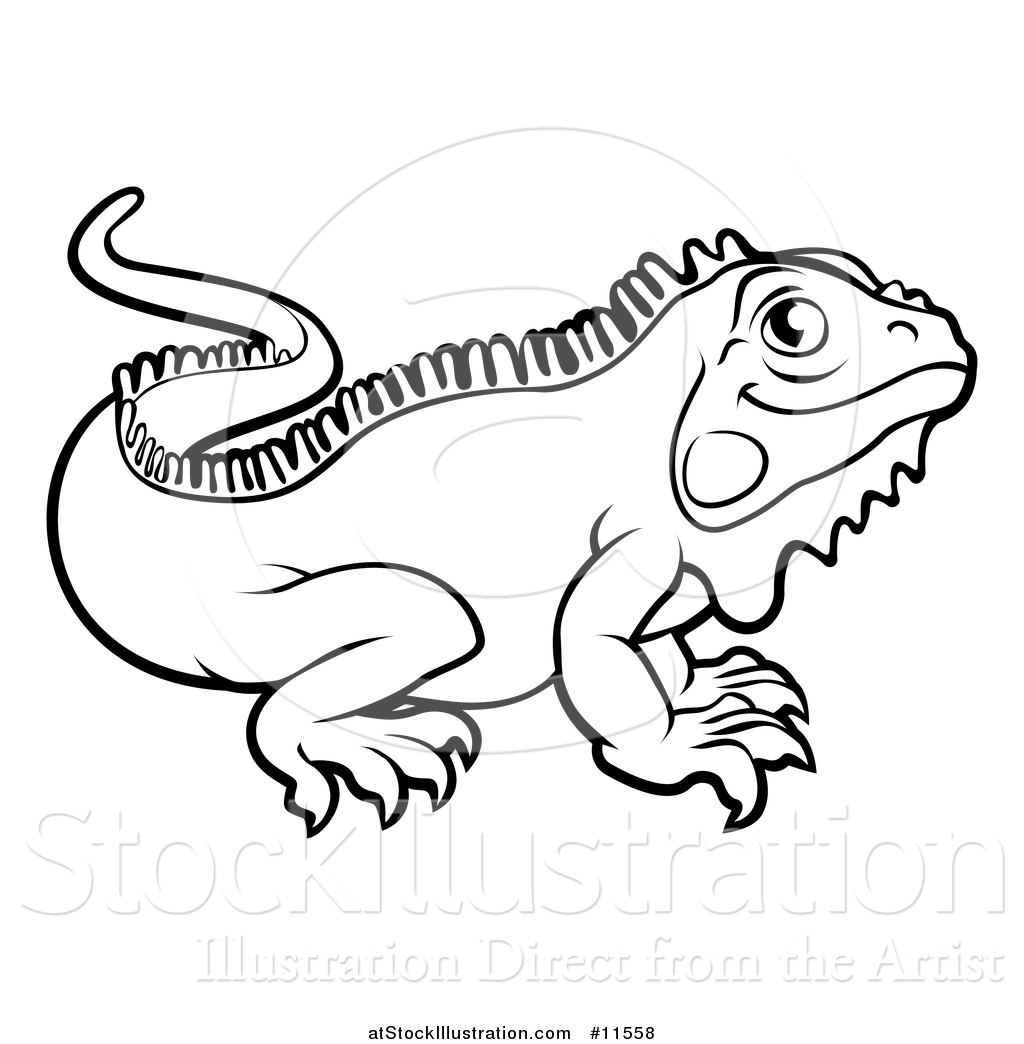 1024x1044 iguana clipart outline - Iguana Drawing Outline