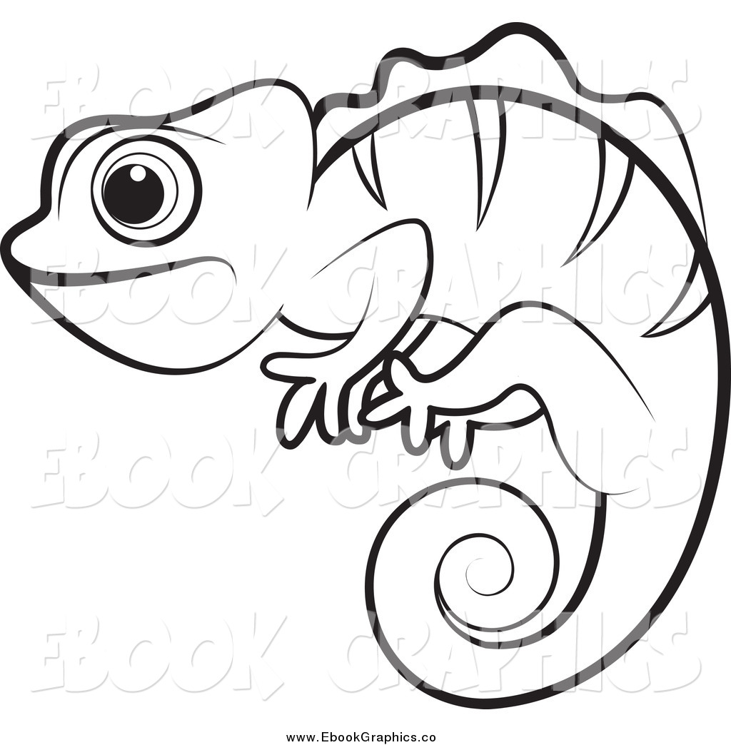 1024x1044 iguana transparent png clipart free download - Iguana Drawing Outline