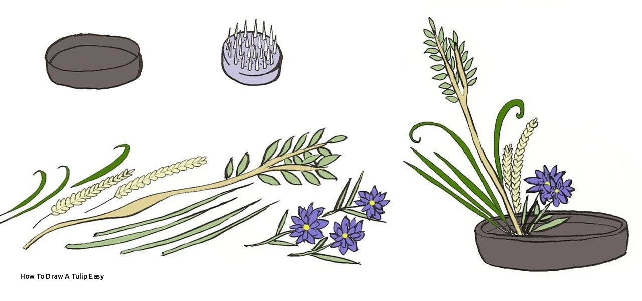 1280x600 how to draw a tulip easy how to do a very basic ikebana flower - Ikebana Drawing