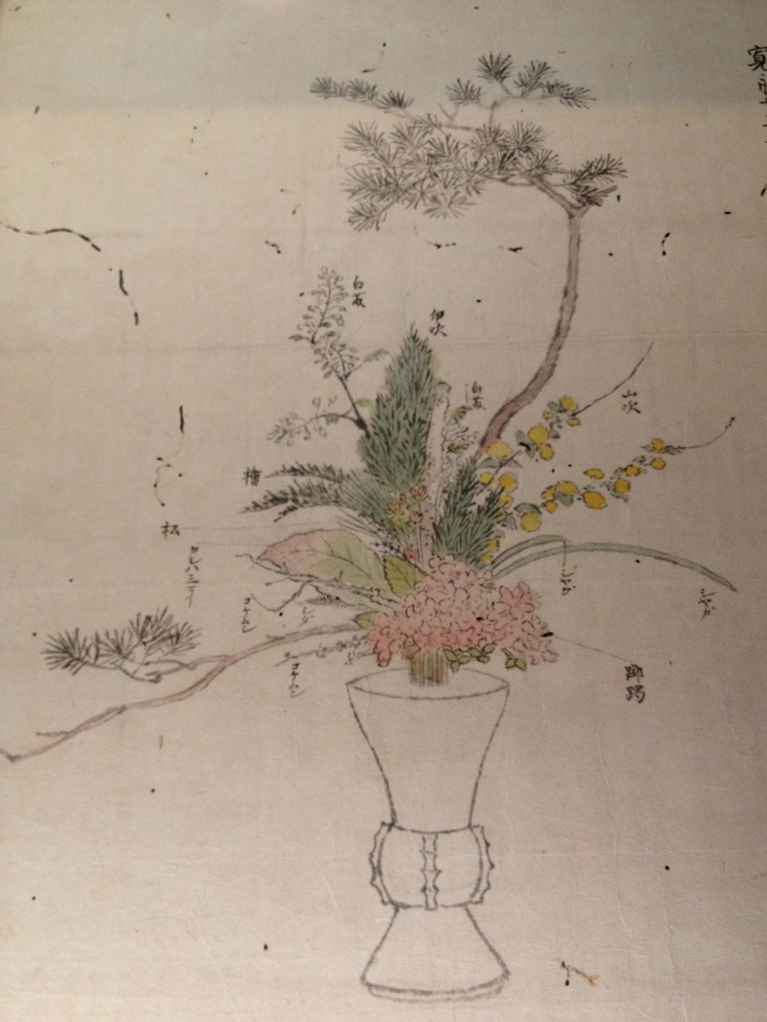 2448x3264 ikebana drawing manuscript from kyoto museum multicultural art - Ikebana Drawing