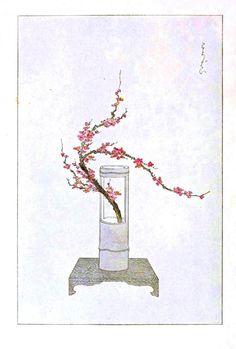236x349 best flower drawing images sketches, flower arrangements - Ikebana Drawing