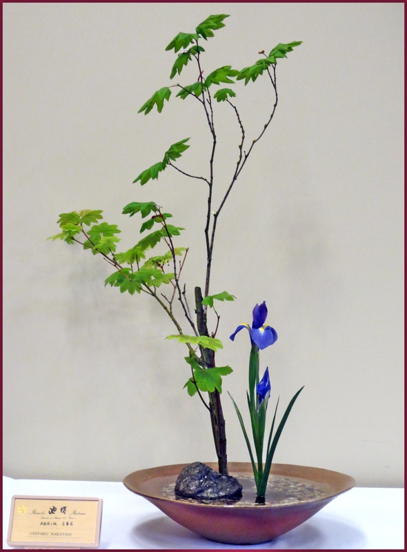 590x800 ikenobo ikebana - Ikebana Drawing