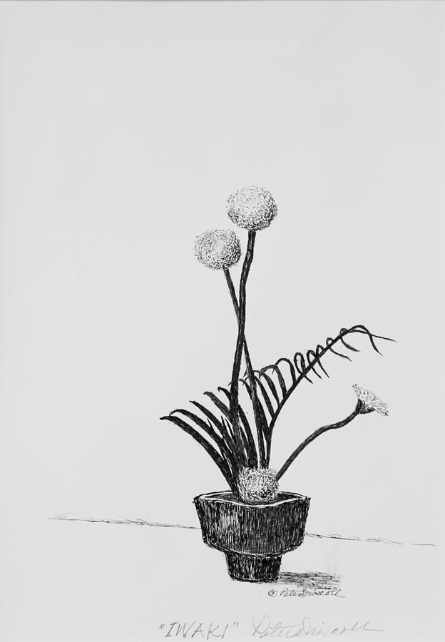 624x900 iwaki drawing - Ikebana Drawing