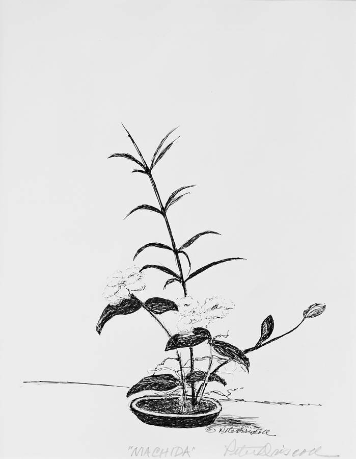 699x900 machida drawing - Ikebana Drawing