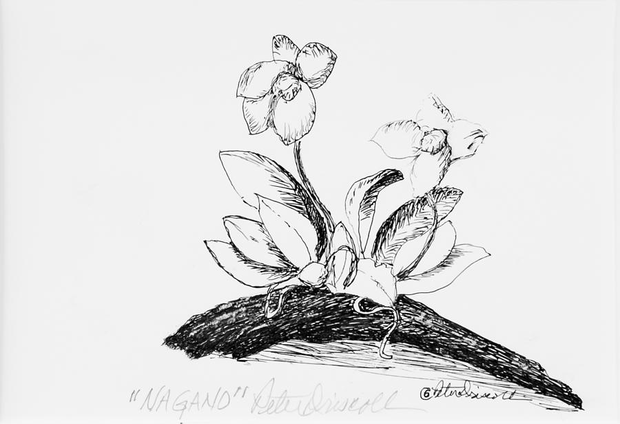 900x615 nagano drawing - Ikebana Drawing