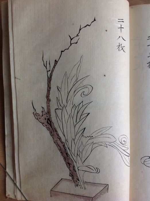 523x700 booklet containing unique pen drawings about japanese floristry - Ikebana Drawing