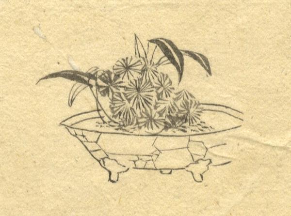 600x446 flower arrangement - Ikebana Drawing