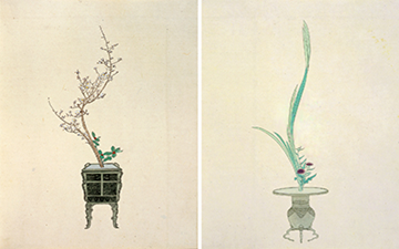 360x225 history of ikebana ikenobo origin of ikebana - Ikebana Drawing