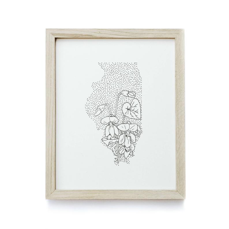 794x794 Illinois Purple Violet State Flower Drawing Giclee Etsy - Illinois Drawing