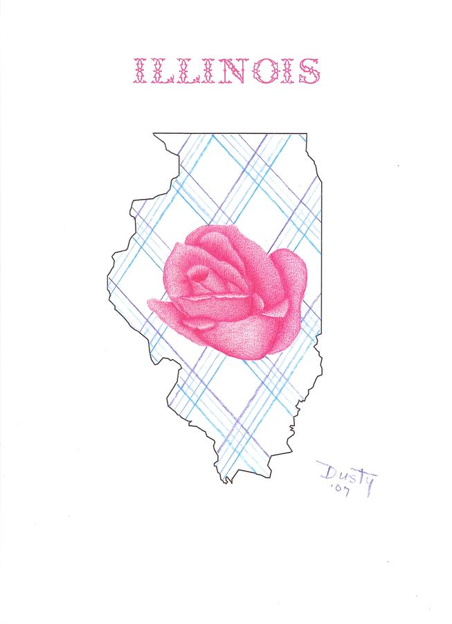 653x900 State Of Illinois Drawing - Illinois Drawing