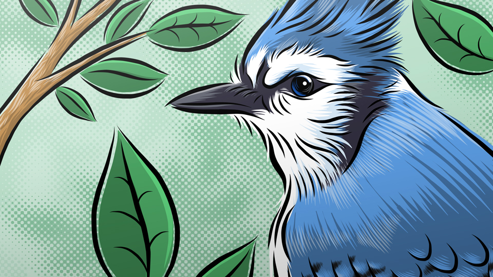 960x540 send to illustrator cc in adobe draw on ipad - Illustrator Drawing