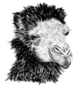 259x286 how to work with brushes in illustrator - Illustrator Drawing Brushes