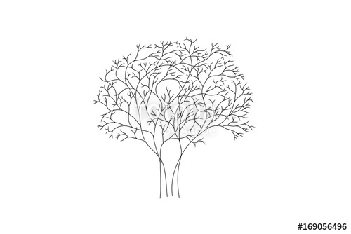 500x334 line drawing of a tree, vector illustration stock image - Image To Line Drawing