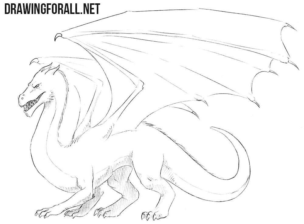 1000x737 Dragon Drawing Easy How To Draw A Dragon Easy Drawingforall Ideas - Images For Drawing Easy