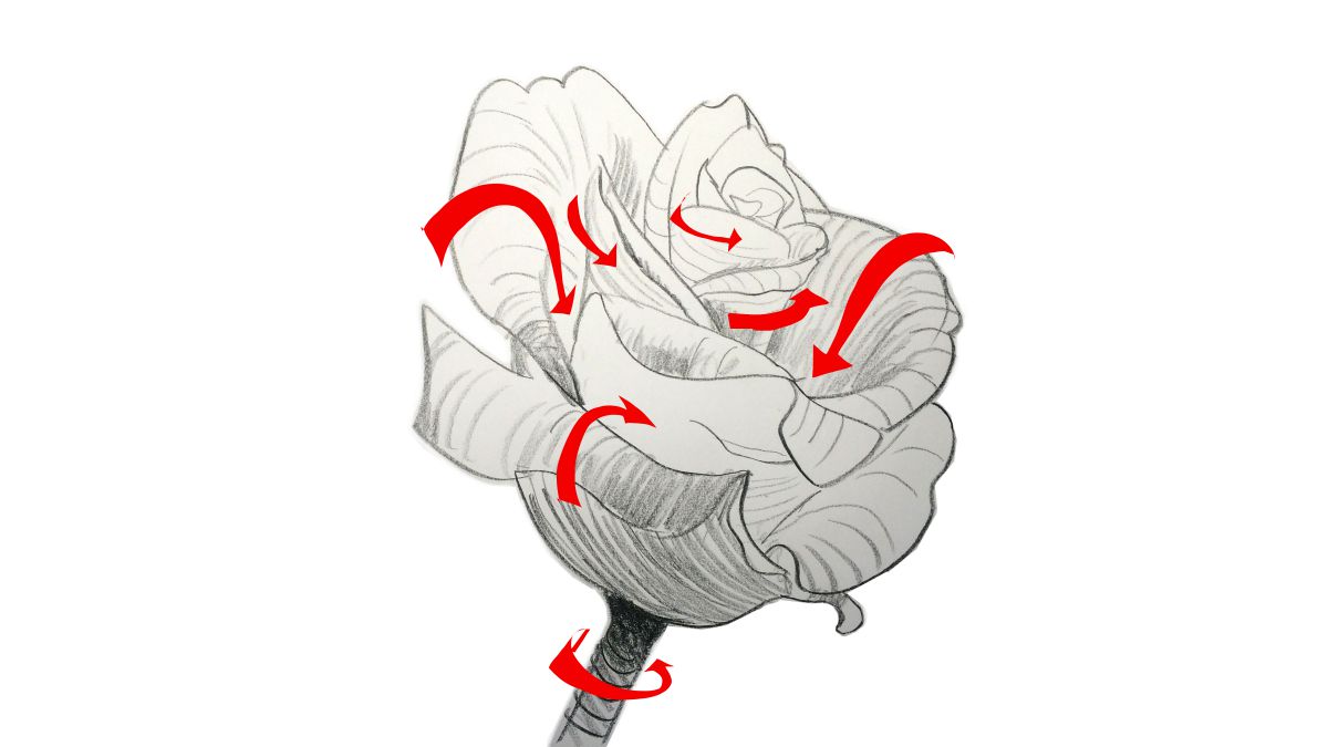 1200x675 How To Draw The Best Drawing Tutorials Creative Bloq - Images Of Drawing Pictures