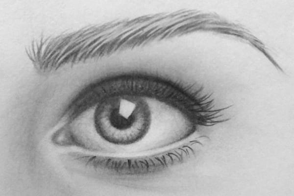 600x400 How Important Is Freehand Drawing In Art Vision Stash - Images Of Free Hand Drawing