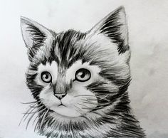 236x194 Free Hand Drawing Arch - Images Of Free Hand Drawing