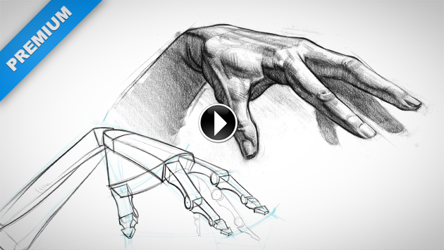 630x355 Detailed Hand Demos - Images Of Shading Drawing