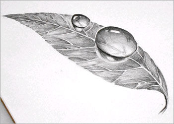 350x250 Easy Art Pencil Drawing How To Draw Dew Drop On Leaf - Images To Draw For Pencil Drawing