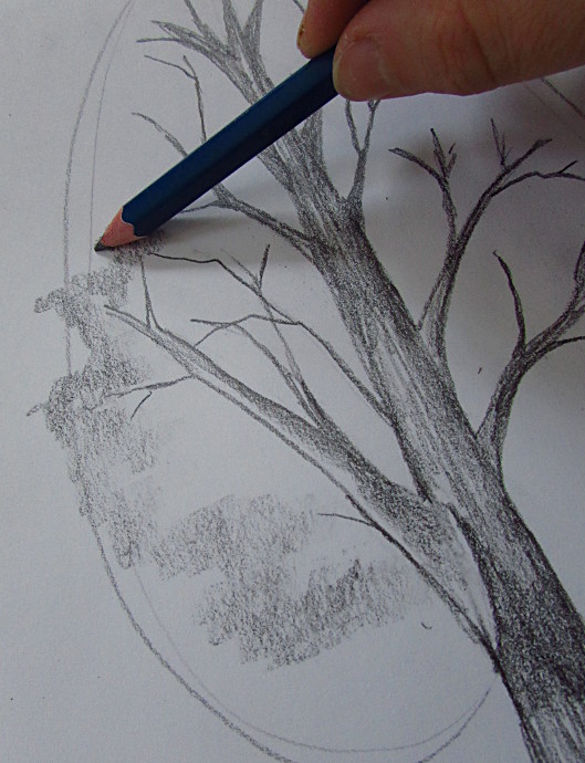 529x690 How To Draw A Tree - Images To Draw For Pencil Drawing