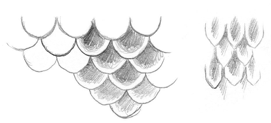 930x424 how to draw and paint mermaid scales impact books mermaids - Impact Drawing