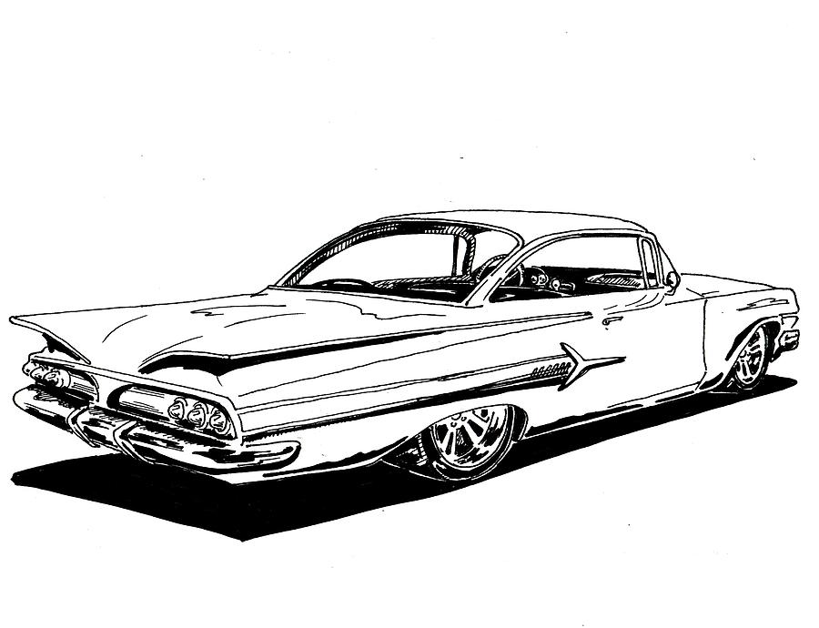 900x690 impala drawing - Impala Drawing