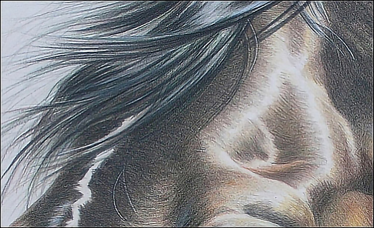 735x449 How To Add Fine Details To Your Drawings With The Impressed Line - Impression Drawing