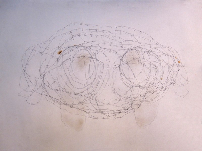 800x600 Impression Drawing - Impression Drawing