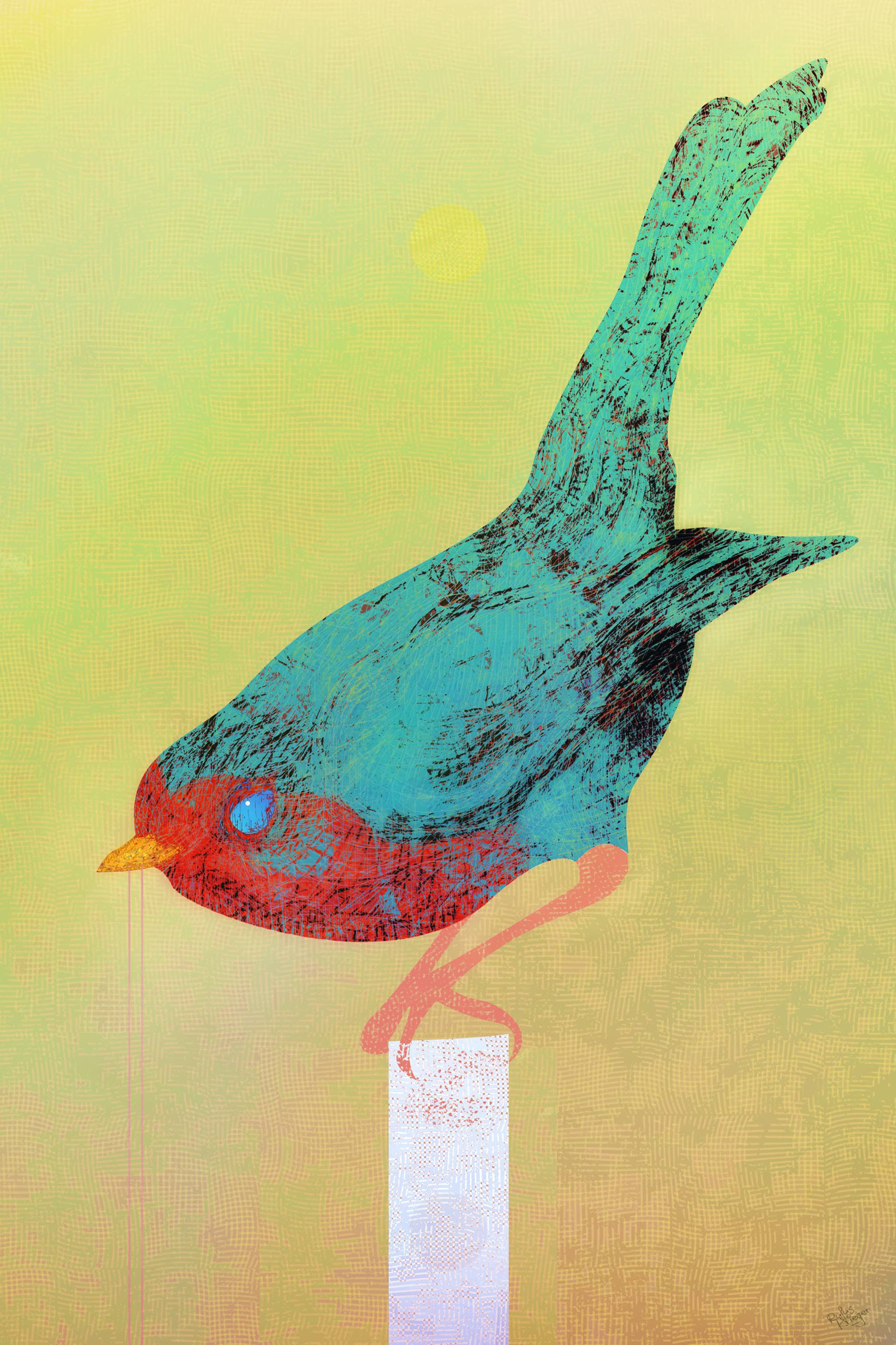 1920x2881 A Great Robin Impression Drawing - Impression Drawing