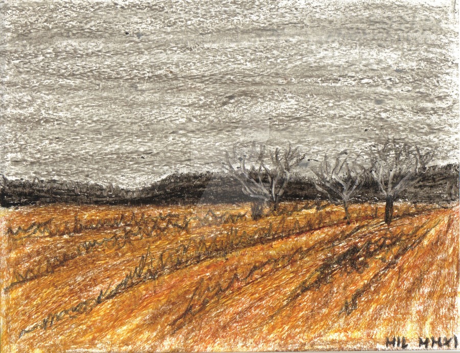 900x692 My First Impression Drawing - Impression Drawing