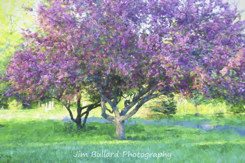 800x533 North Country Ramblings Topaz Impression Review - Impression Drawing