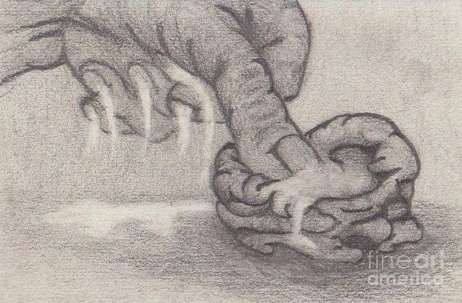 900x590 The Potter's Impression Drawing - Impression Drawing