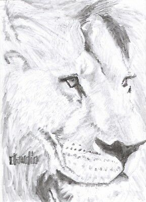 289x400 Original Pencil Drawing Sketch Lion Big Cat Impressionism Art - Impressionism Drawing