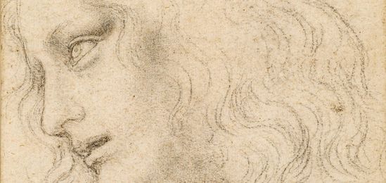 549x260 leonardo da vinci a life in drawing museums sheffield - In Drawing