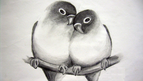 In Love Drawings